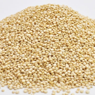 White (Golden) Quinoa 10lb