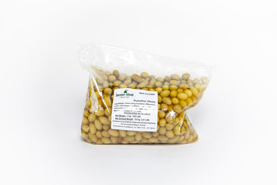 Picholine Olives 2/5.5lb