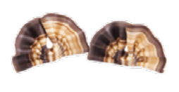 Marble Chocolate Fan Decoration 330ct