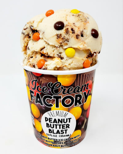 Peanut Butter Blast Ice Cream PINT 12/12oz