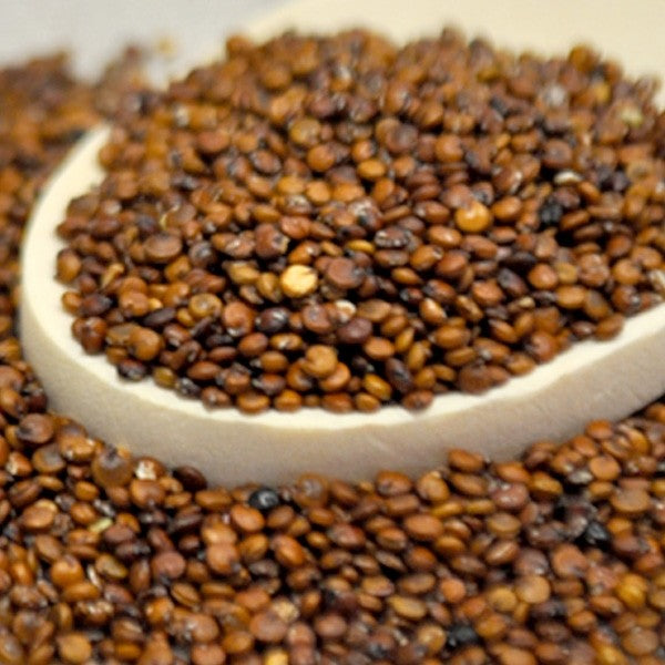 Red Quinoa 10lb